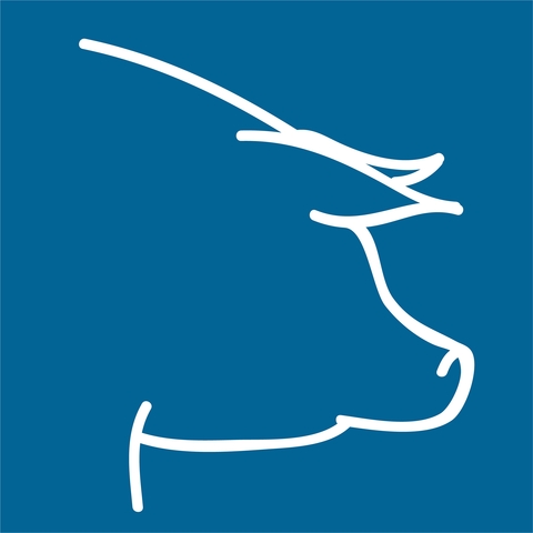 Ein blaues Quadrant, darin wei&szlig;e Umrisszeichnung vom Schwein