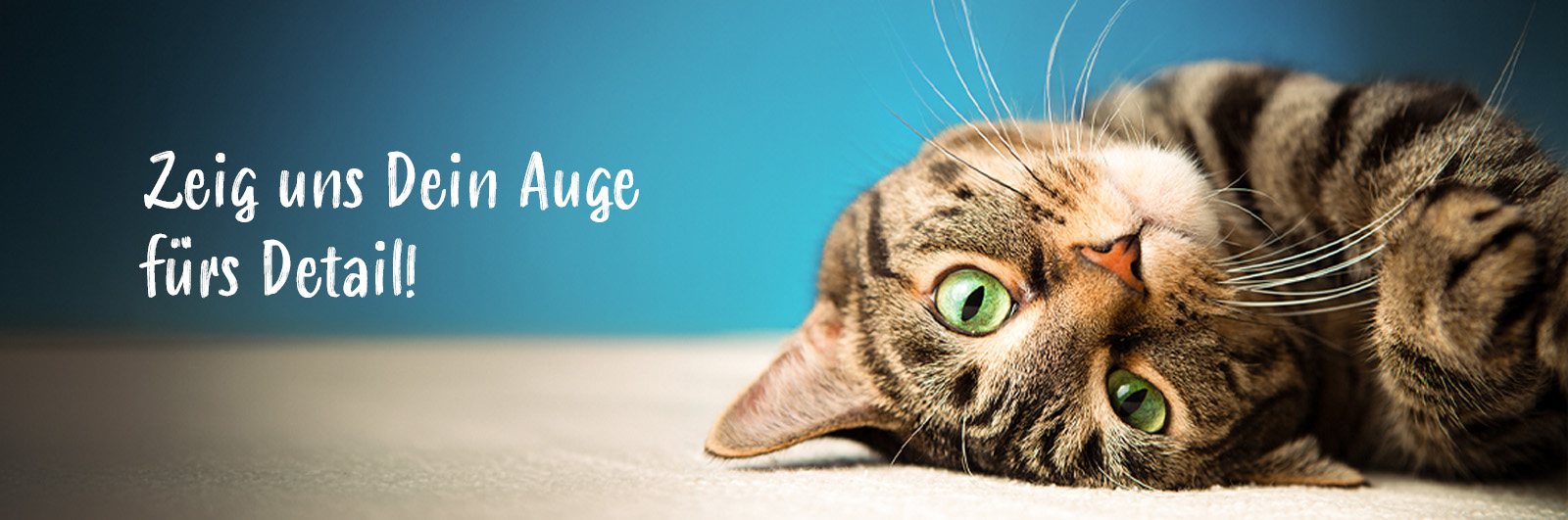 Eine getigerte Katze mit gr&uuml;nen Augen liegt auf der Seite und schaut aufmerksam in die Kamera. Im linken Bildbereich steht in wei&szlig;er, verspielter Schrift: &bdquo;Zeig uns Dein Auge f&uuml;rs Detail!&ldquo;